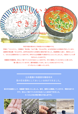 きらみずき of 辻井農園
